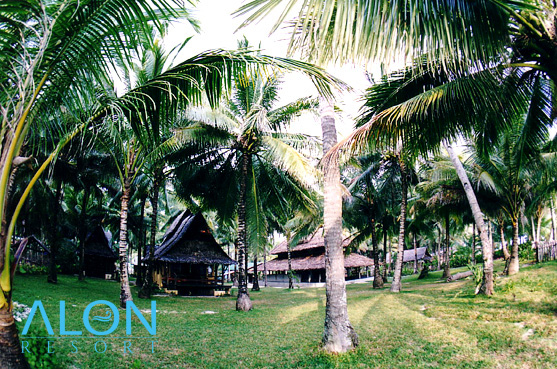 Alon Resort overview | Siargao Island